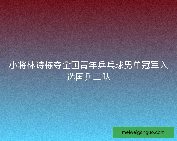 小将林诗栋夺全国青年乒乓球男单冠军入选国乒二队