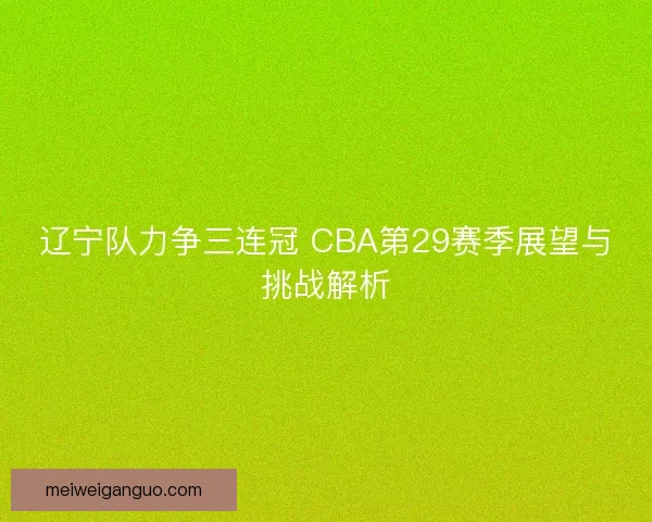 辽宁队力争三连冠 CBA第29赛季展望与挑战解析